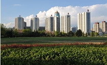 集團管控