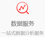 數據服務